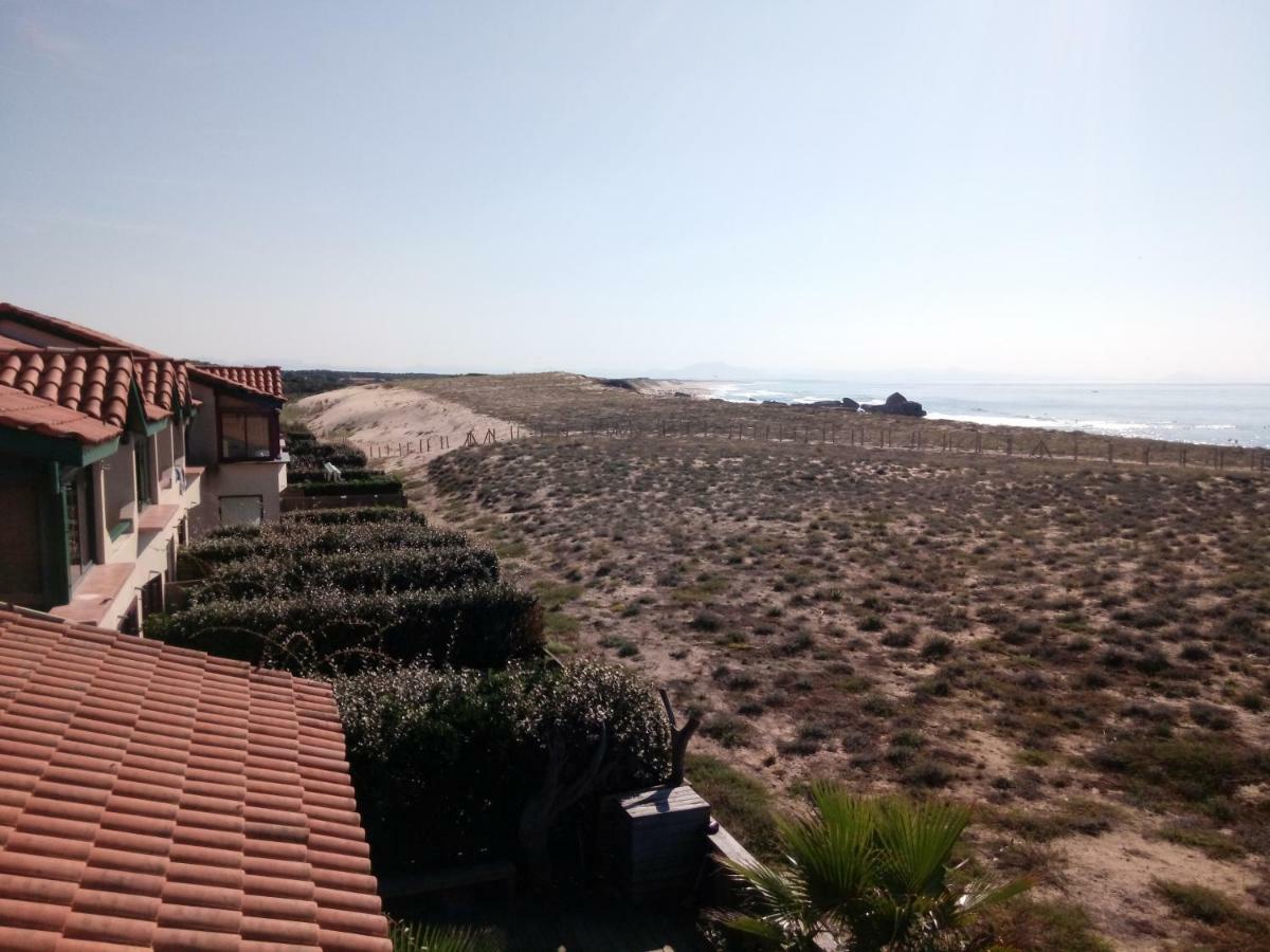 Appartement Capbreton Face A L'Ocean Sans Vis A Vis, Avec Piscine ภายนอก รูปภาพ